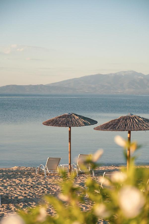 Calma Beach Hotel Stavros  Ngoại thất bức ảnh